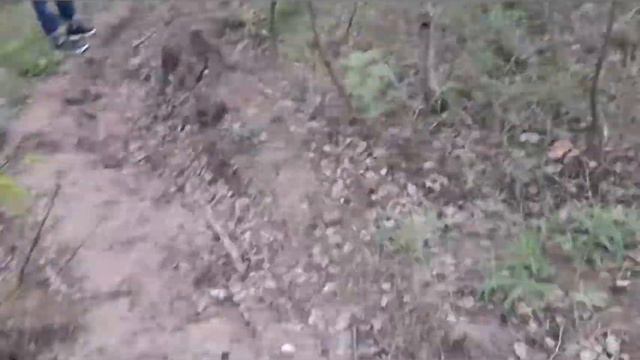 Ищем в лесу СИРЕНОГОЛОВОГО человека!!!!😱😱😱 смотреть онлайн