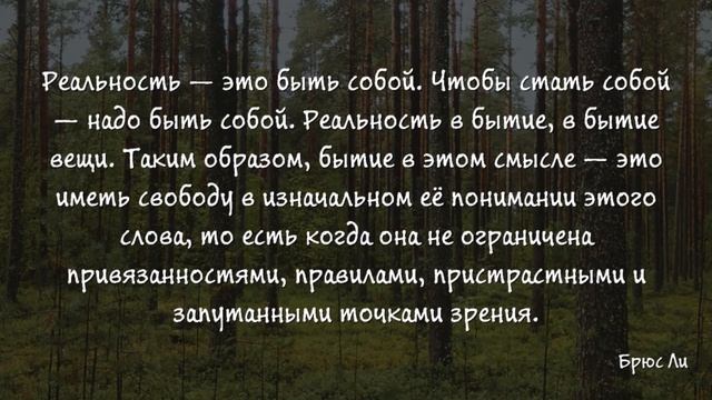 Цитаты Брюса Ли смотреть онлайн