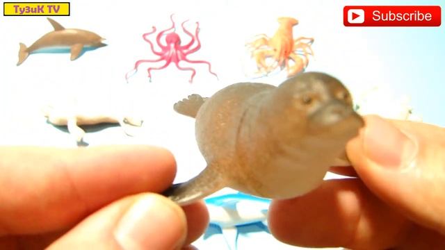 Развивающее видео морские обитатели для детей со звуками | морские животные - акула, кит, дельфин смотреть онлайн