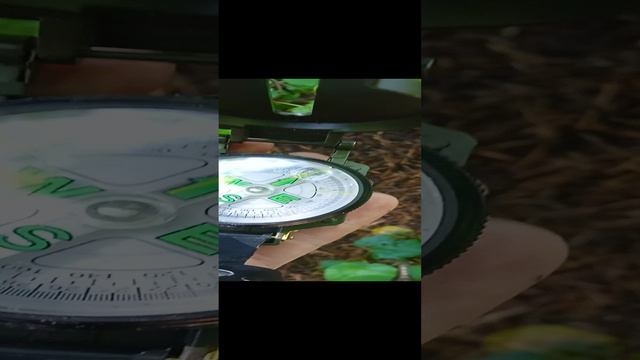 Определение сторон горизонта по муравейнику - когда способ работает смотреть онлайн