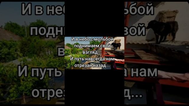 Вода прибывает... смотреть онлайн