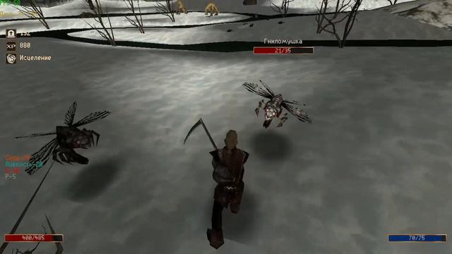 Готика 2 НВ | Новый крутой мод 