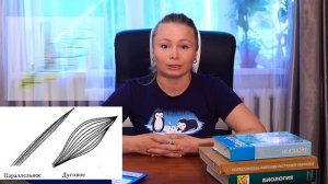 Однодольные и двудольные растения.