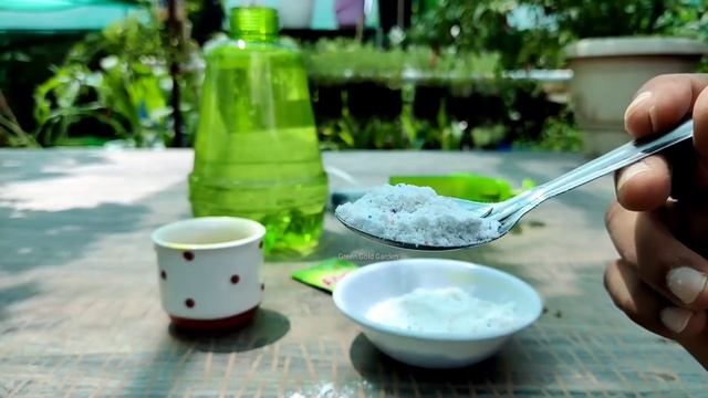 सफेद कीड़े mealybug का खात्मा एक मिनट में смотреть онлайн