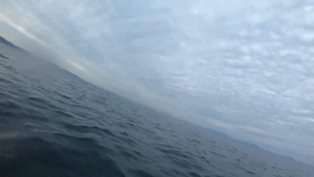 Камбала. Мощный клёв. Ловля камбалы во Владивостоке. смотреть онлайн