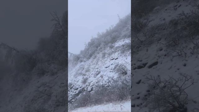 Белый снег, пушистый в воздухе кружится.И на землю тихо падает, ложится.#зима#снег#природазимой смотреть онлайн