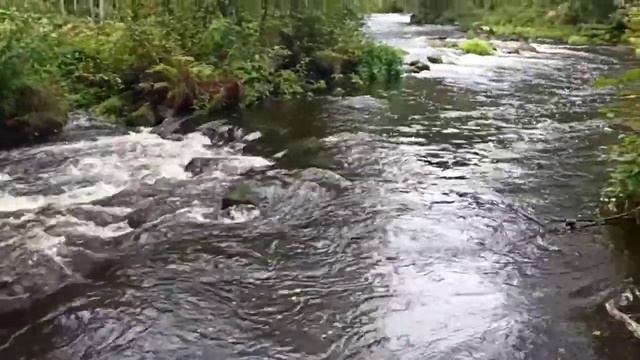 Реки Карелии смотреть онлайн