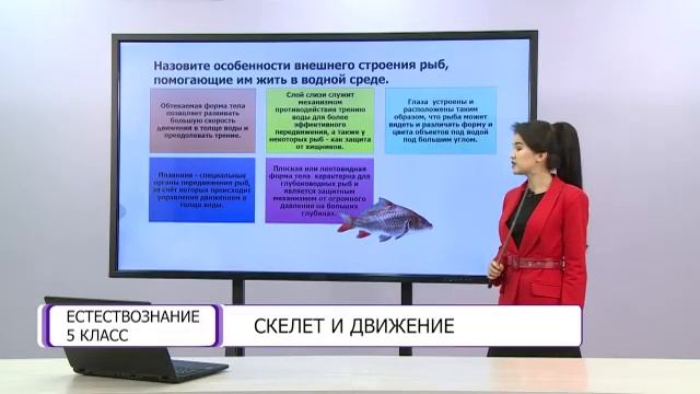 Естествознание. 5 класс. Скелет и движение /16.03.2021/
