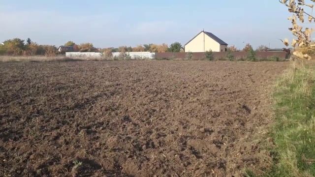 ДЖУНГЛИ превращаются в конфетку! Подготовка участка для высадки медоносов. смотреть онлайн