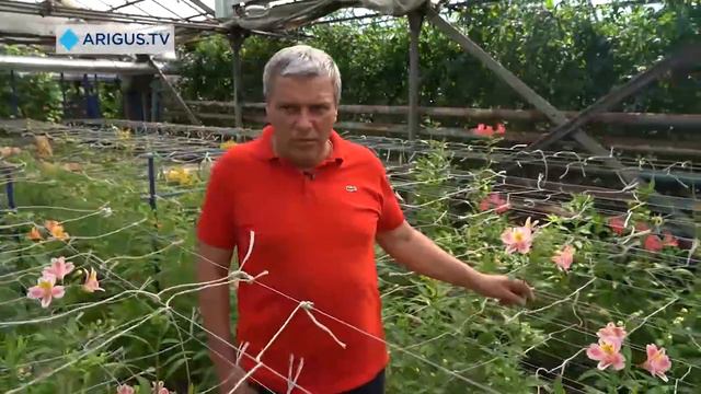 «Давай займемся бизнесом» Третий выпуск. смотреть онлайн