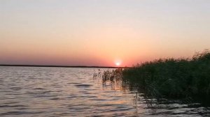 рыбалка на лимане Карпиевский Приморско-Ахтарск Азак