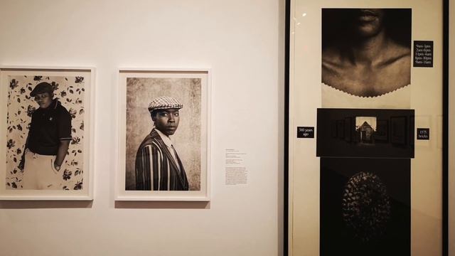 smArty. Half the Picture: A feminist look at the collection, Brooklyn Museum, Brooklyn смотреть онлайн