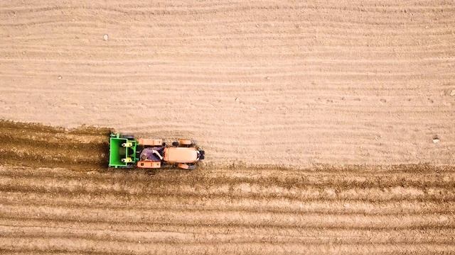 Минитрактора Кентавр Т-224 в работе с картофелесажалкой и чеснокосажалкой смотреть онлайн