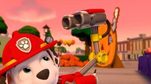 Paw Patrol halloween - Coffin Dance Song (COVER)
