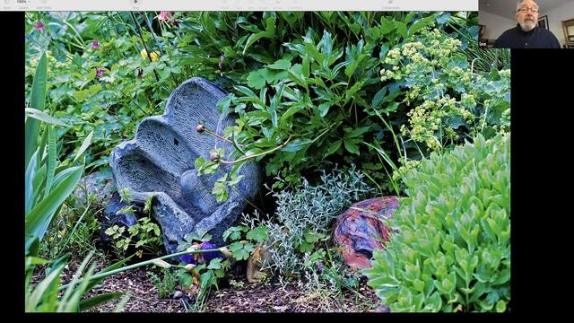 Gabbing about Art in the Garden with Dr. Lee Gass смотреть онлайн