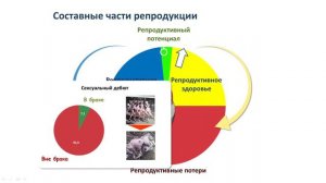 Основные демографические проблемы современной России