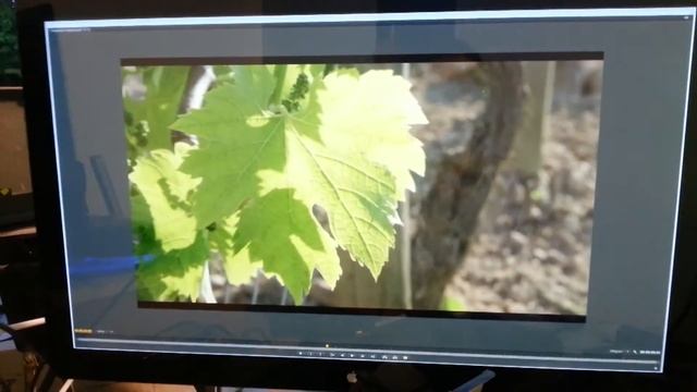 test Clevo P170 SM Haswell et Geforce GTX 780M смотреть онлайн