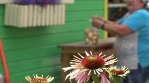 6 соток 25 июля 2023 года. Хроника.