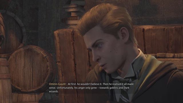 Sebastian’s Outcome - Conversation with Ominis - Hogwarts Legacy смотреть онлайн