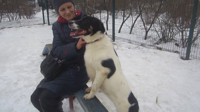 Ют и Юкка смотреть онлайн
