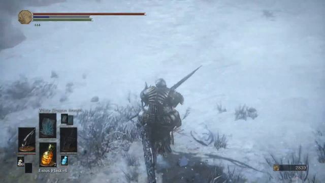 Continuing with the Irregulator Mod - Dark Souls 3 Irregulator Mod смотреть онлайн