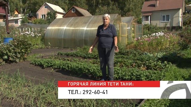 Голова садовая - Посадка чеснока в сентябре смотреть онлайн
