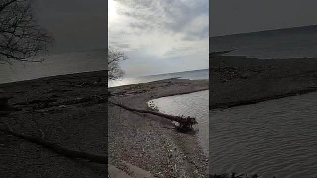 Архипо-Осиповка 6 декабря 2023 года ?️ устье реки Вулан ? Видео: Ольга Калитеева смотреть онлайн