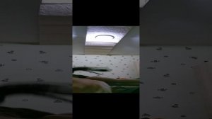 просто видео