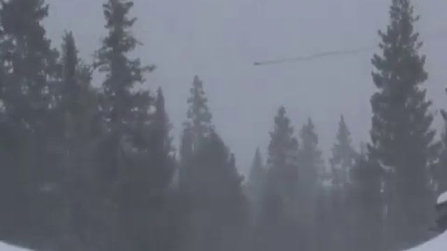 В лесу родилась ёлочка: видеопосвящение новогодней песне смотреть онлайн