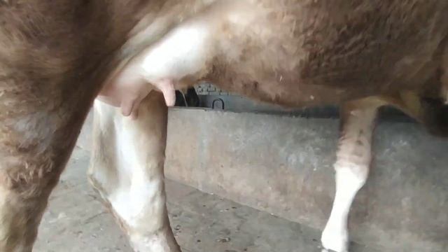 +998943845120 ТЕЛЕГРАМИ БОР ЗУЛАРИДАН КЕЛДИ ШОШЛИГ ДУСЛАР БИЗДА БУГУН КАТА АКСЙА???? смотреть онлайн
