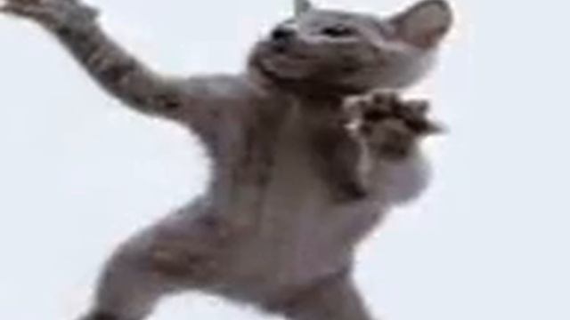 коты танцуют смешно! смотреть онлайн