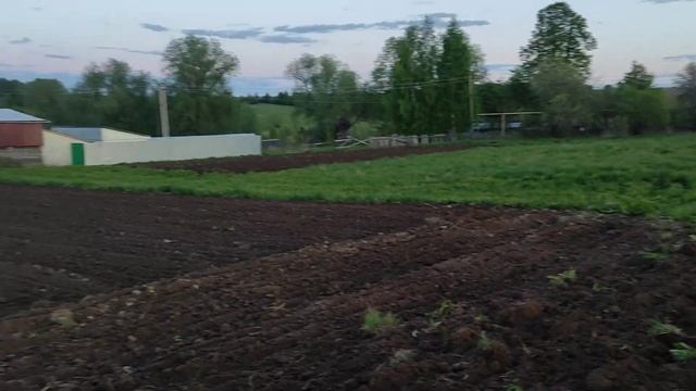 Посадка картофеля, весь процесс в селе.#природа#май#весна#поселок#юмор#деревня#теплица#дача смотреть онлайн