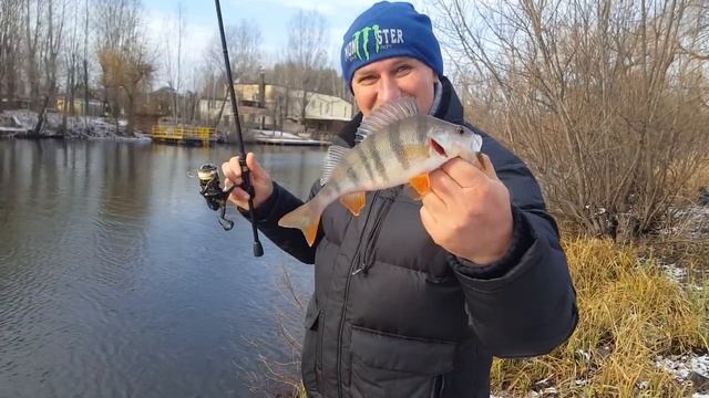 #blackbaits Breaden Trevalism Kabin 606 CS-tip смотреть онлайн