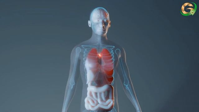 НИРДОШ смотреть онлайн