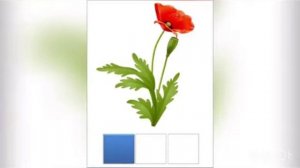 Обучение грамоте. Звуковой анализ слова "МАК".