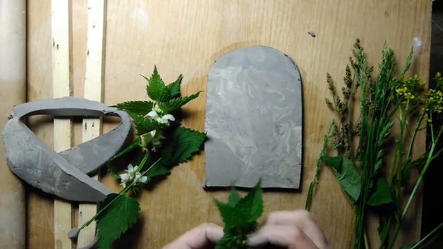 гербарий в глине смотреть онлайн