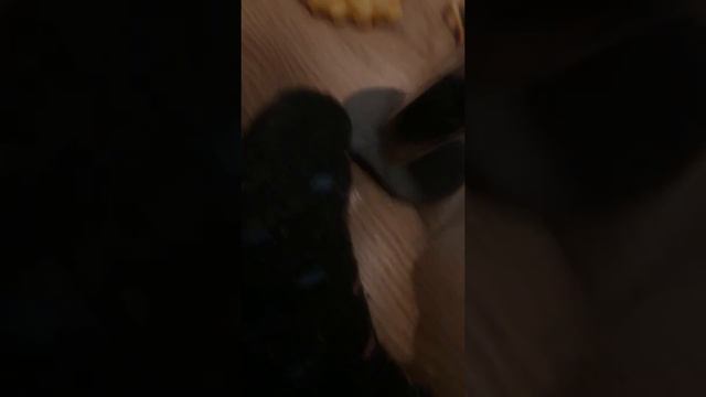 Змеи БУМ смотреть онлайн