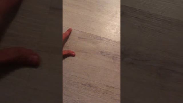 Строительные Творцы