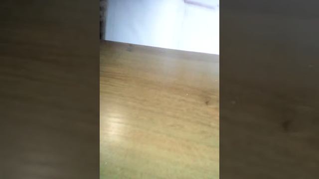 ,,Весёлый Язычок " рисунки по клеткам смотреть онлайн