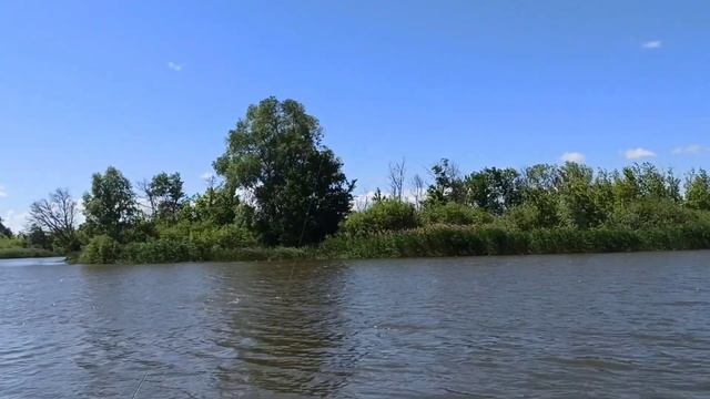 Четыре часа на донки. Густера на реке ИК. смотреть онлайн