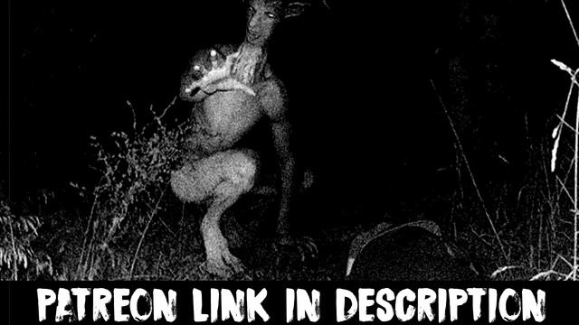 "The Goatman Peering Through My Window" | Cryptid Story смотреть онлайн