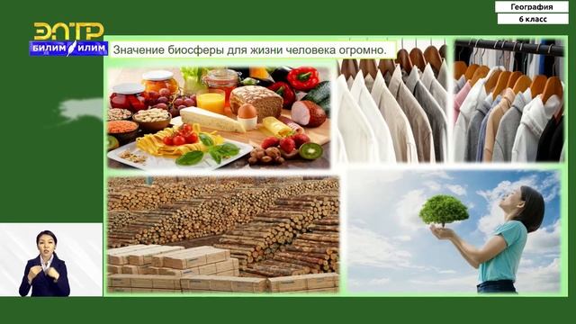 6-класс | География | Биосфера. Происхождение жизни на Земле смотреть онлайн