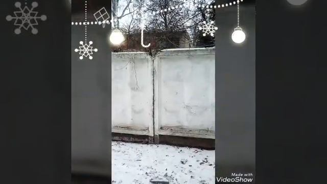 Здравствуй Зимушка-Зима смотреть онлайн