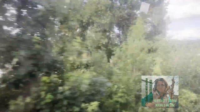 Тур по английскому городу Worcester, шоппинг и ужин. Окончание. Лилли на страже. №263 Жизнь в Англи смотреть онлайн