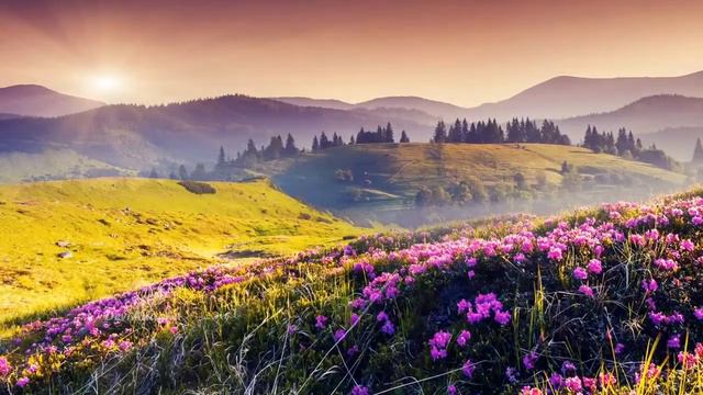 Peaceful Native American FLUTE Relax Music for Stress Relief ,MEDITATION,CALMING MUSIC,SPA,STUDY смотреть онлайн