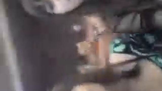 Ружаны,Актовый зал(8 марта) смотреть онлайн