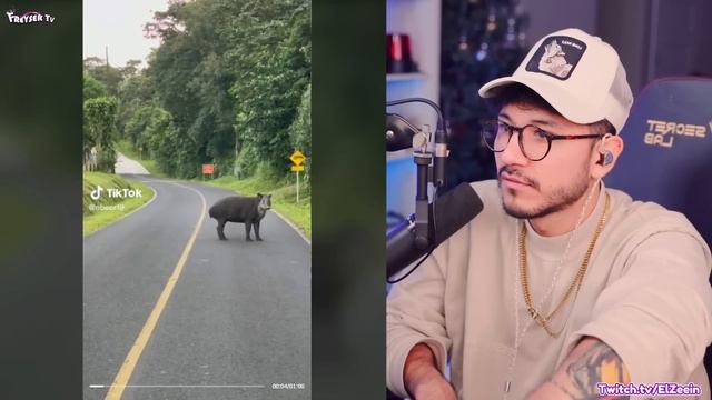 ZEIN REACCIONA A TIKTOK de FAMOSOS PERU смотреть онлайн