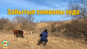 #92 Спасаем корову и бычка. Испекли кекс / Переезд на Кубань.