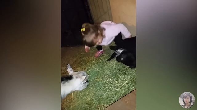 Baby and Animal - Funny Babies At The Farm || Just Funniest смотреть онлайн