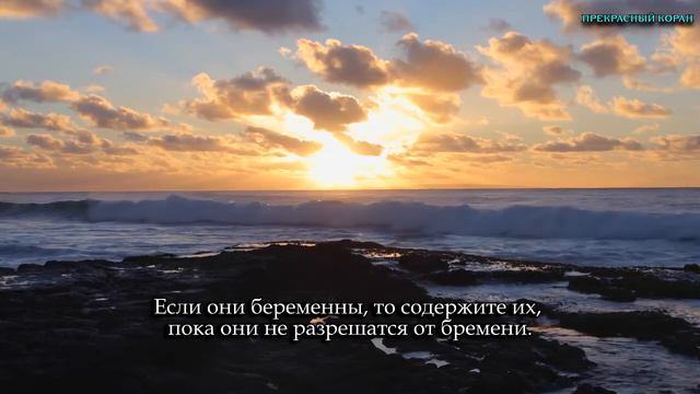 Идрис Абкар. Сура "ат-Талак" (Развод) смотреть онлайн